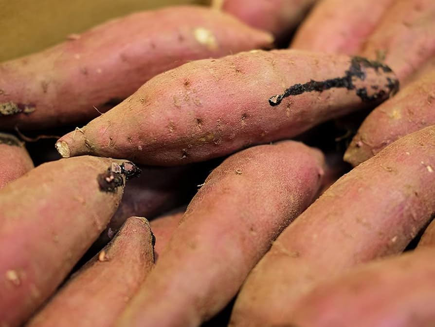 ■茨城県産■紅はるか■旭甘十郎■特秀Mサイズ■約10キロ(5キロ×2ケース)■ 茨城県産（JA茨城旭村）さつまいも 旭甘十郎 紅はるか 特秀 M